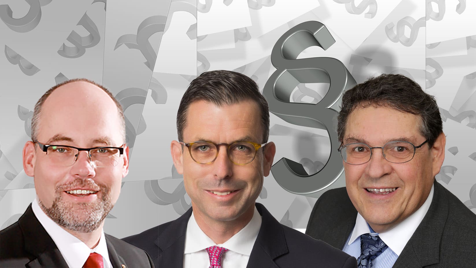 Berg_Lars_Patrick_Rottmann_Daniel_Duerr_Klaus_FotoAfD_Strafanzeige_Pixabay_geralt