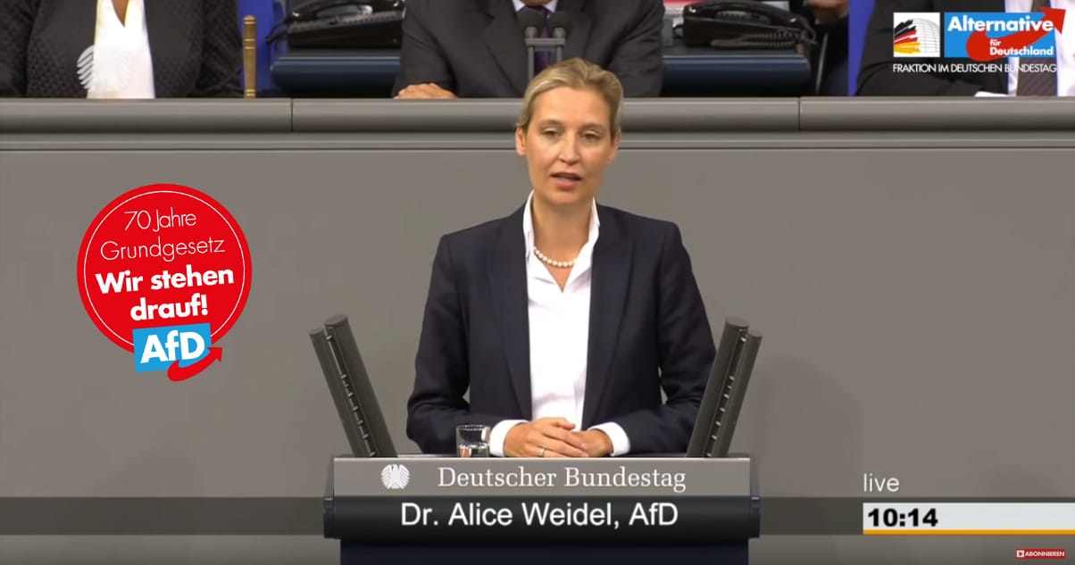Weidel-Alice_FotoAfD_Screenshot_AfD-Fraktion_im_deutschen_Bundestag