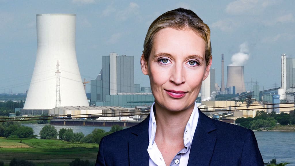 Alice Weidel: Mehrheit Der Deutschen Gegen Abschaltung Der ...